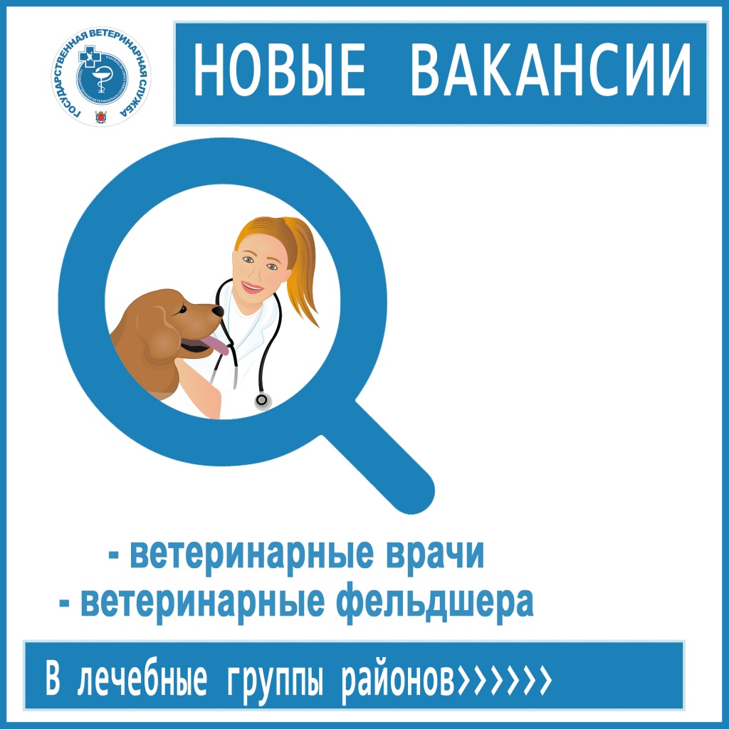 Новости: Внимание! Открыты вакансии!