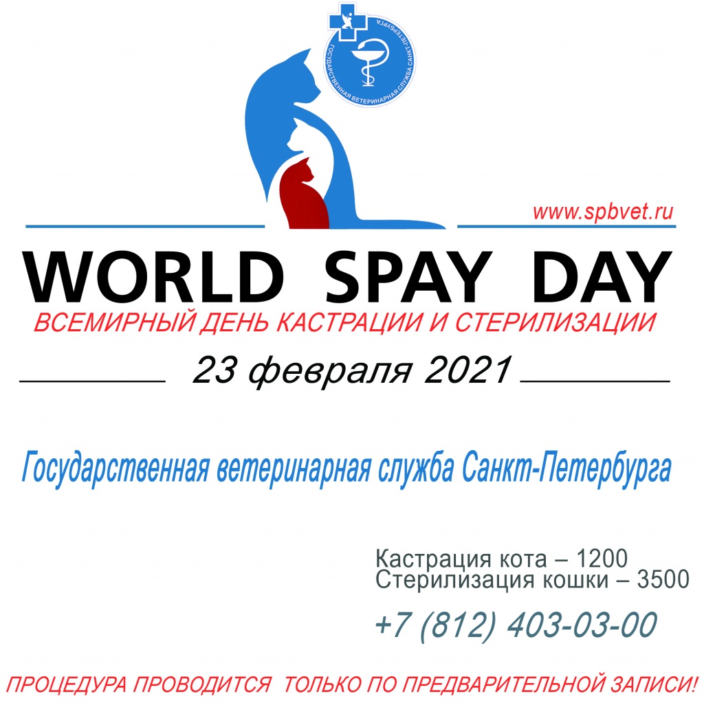 Новости: WORLD SPAY DAY 2021