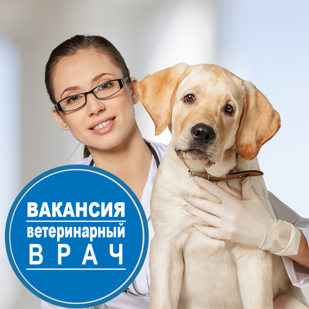 Новости: ВАКАНСИЯ