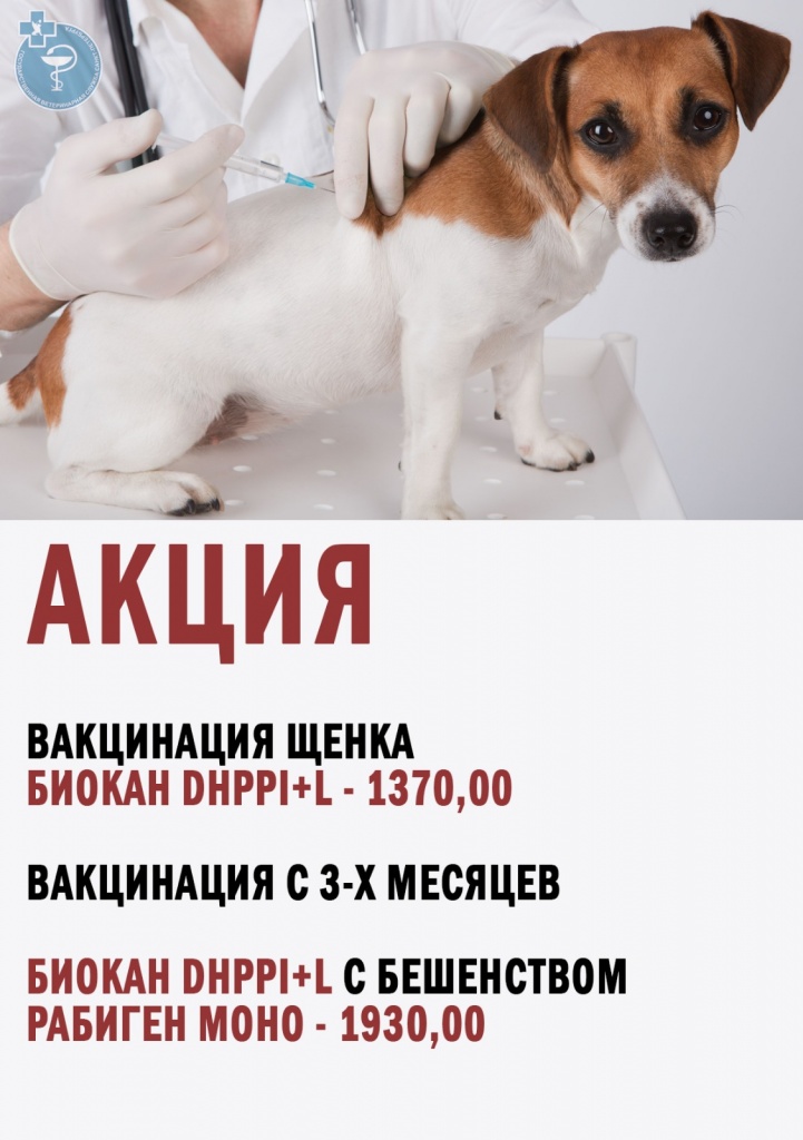 акция.jpg